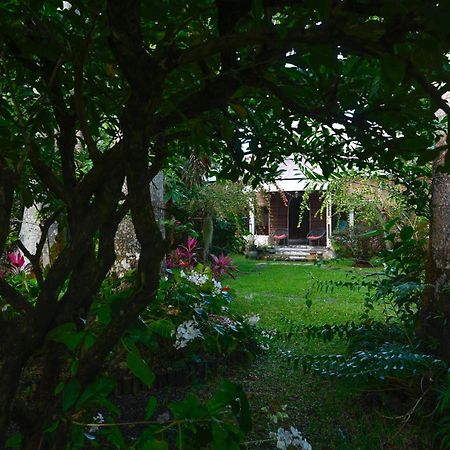 Bed and Breakfast Le Medinilla Bras-Panon Exterior foto