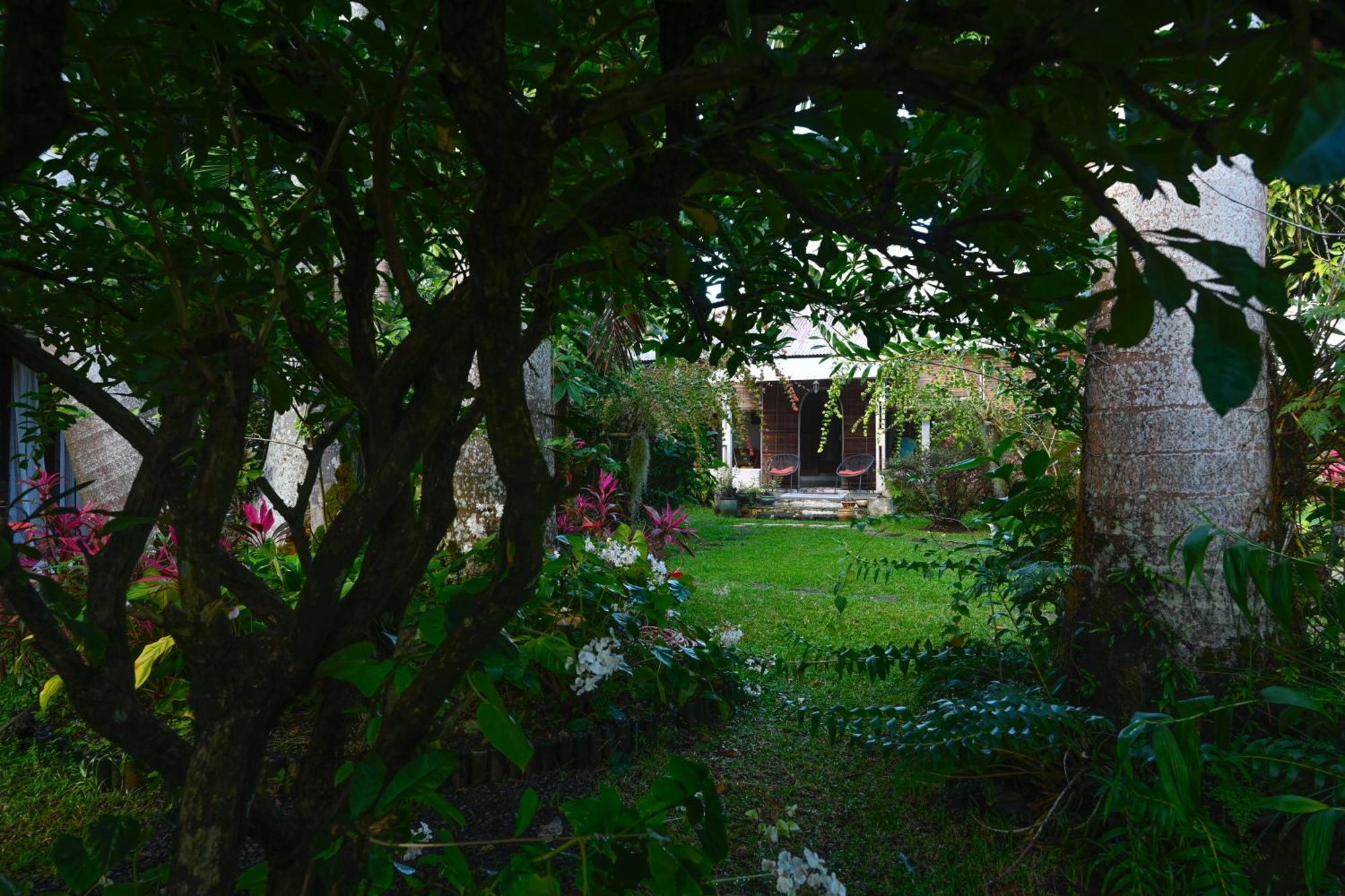 Bed and Breakfast Le Medinilla Bras-Panon Exterior foto